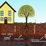 Sewer Line Inspections