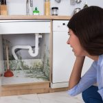 Common Household Areas For Mold Growth