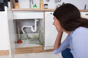 Common Household Areas For Mold Growth